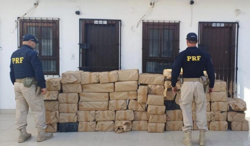 1,1 tonelada de maconha apreendida na Via Dutra em Queluz