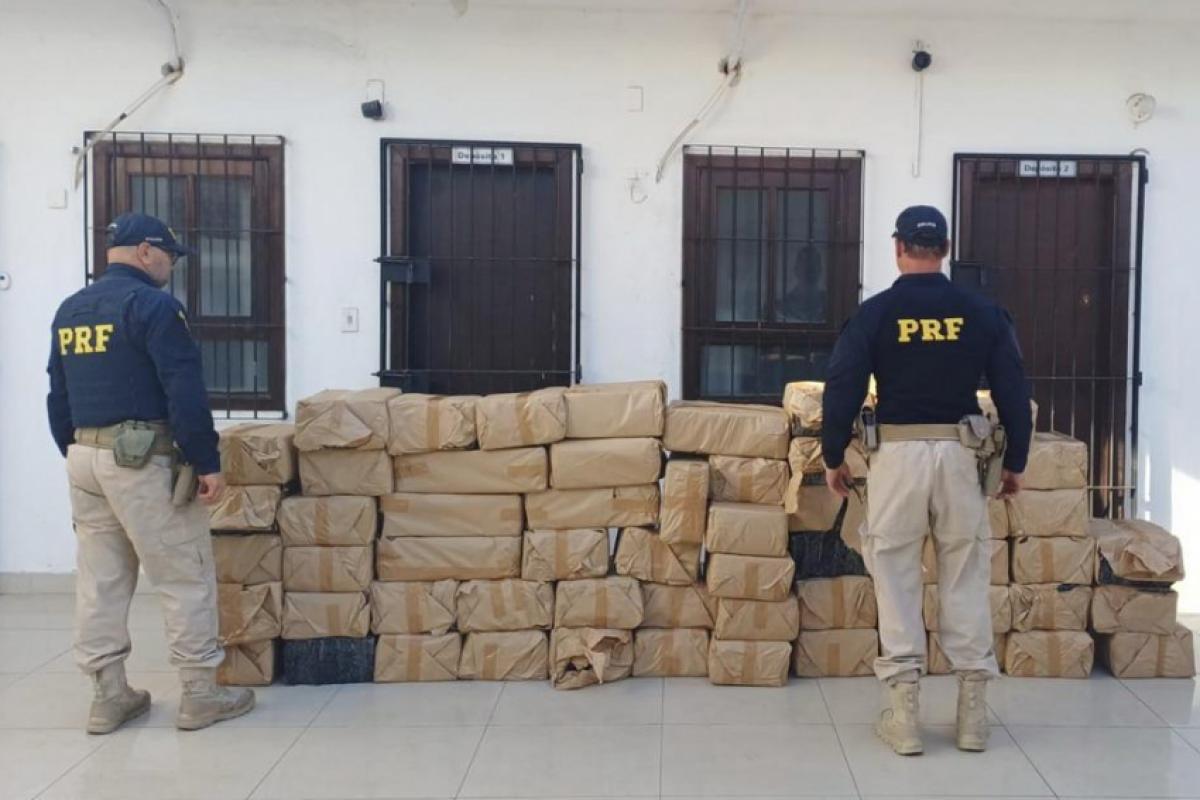 1,1 tonelada de maconha apreendida na Via Dutra em Queluz