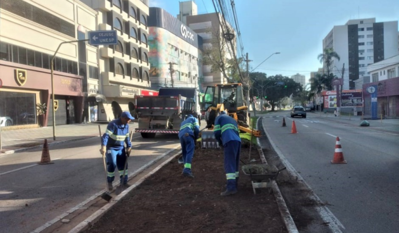 Avenida Nelson D’Ávila, em São José dos Campos, recebe obras de requalificação com melhorias na drenagem e novo paisagismo urbano.