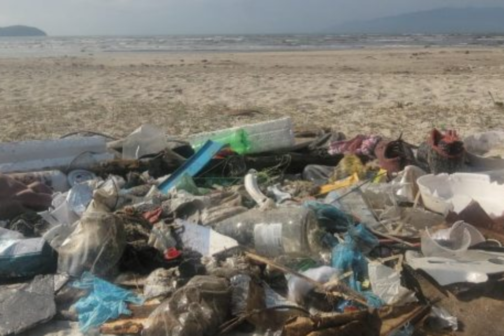 Caraguatatuba recolhe 389 quilos de lixo em 21 ações de limpeza realizadas em praias, trilhas, costeiras e áreas de dunas do município.