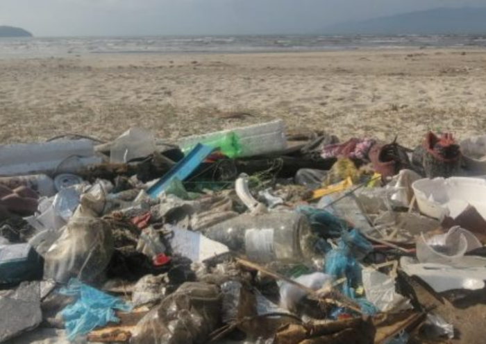 Caraguatatuba recolhe 389 quilos de lixo em 21 ações de limpeza realizadas em praias, trilhas, costeiras e áreas de dunas do município.