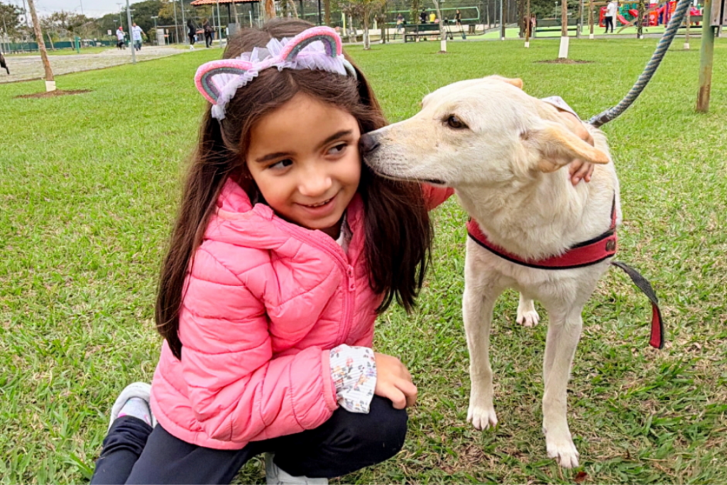 São José dos Campos realiza feira de adoção neste sábado (29), das 10h às 14h, no Jardim Aquarius, com cães e gatos resgatados pelo CCZ.