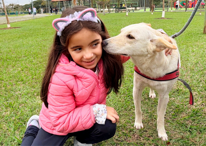 São José dos Campos realiza feira de adoção neste sábado (29), das 10h às 14h, no Jardim Aquarius, com cães e gatos resgatados pelo CCZ.