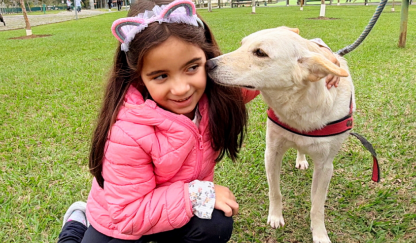 São José dos Campos realiza feira de adoção neste sábado (29), das 10h às 14h, no Jardim Aquarius, com cães e gatos resgatados pelo CCZ.