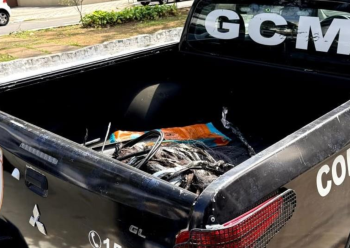 GCM localiza dois suspeitos de furto de fiação em Taubaté e apreende 30 metros de cabos. Um ferro-velho também foi fechado durante a ação.
