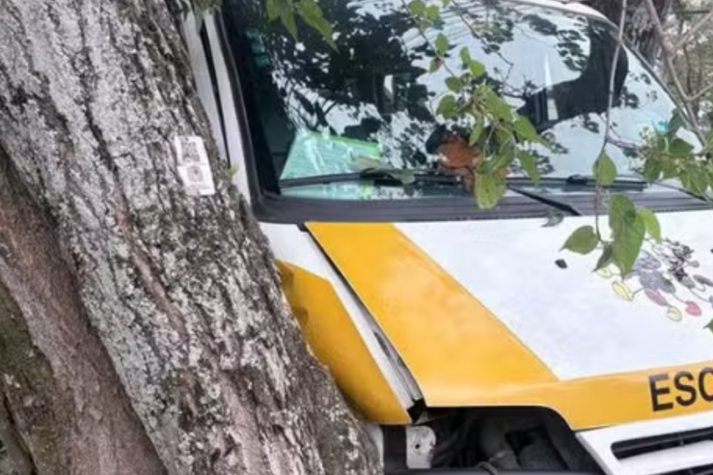 Van escolar com alunos bate em árvore após carro atingir a lateral do veículo em cruzamento no Jardim Morumbi, em São José dos Campos.