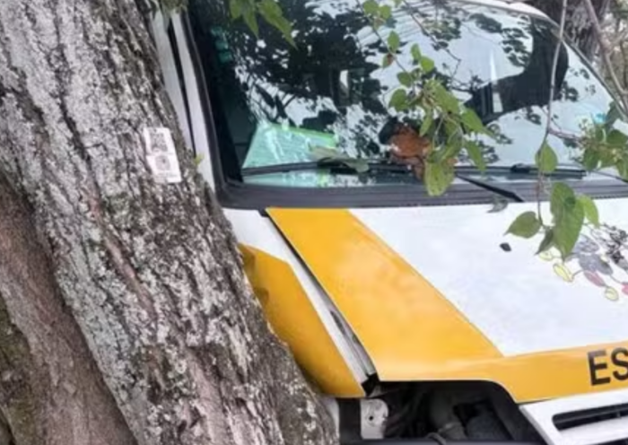 Van escolar com alunos bate em árvore após carro atingir a lateral do veículo em cruzamento no Jardim Morumbi, em São José dos Campos.