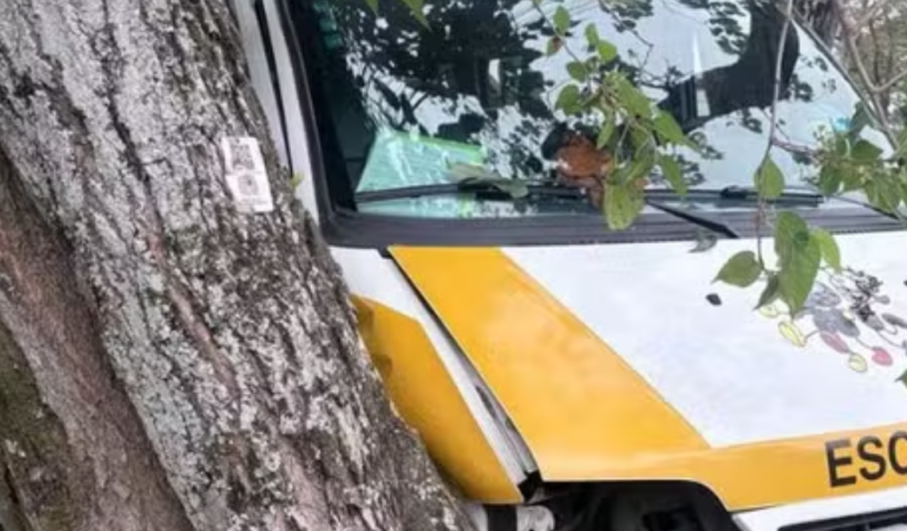 Van escolar com alunos bate em árvore após carro atingir a lateral do veículo em cruzamento no Jardim Morumbi, em São José dos Campos.