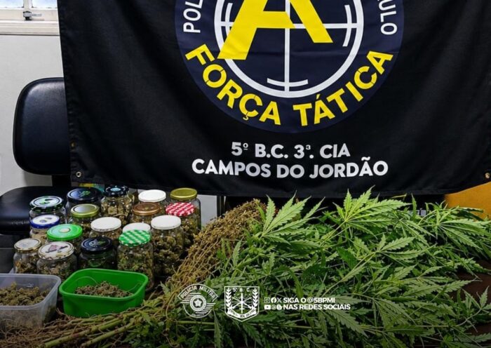 Polícia apreende 18 pés de maconha em residência em Campos do Jordão