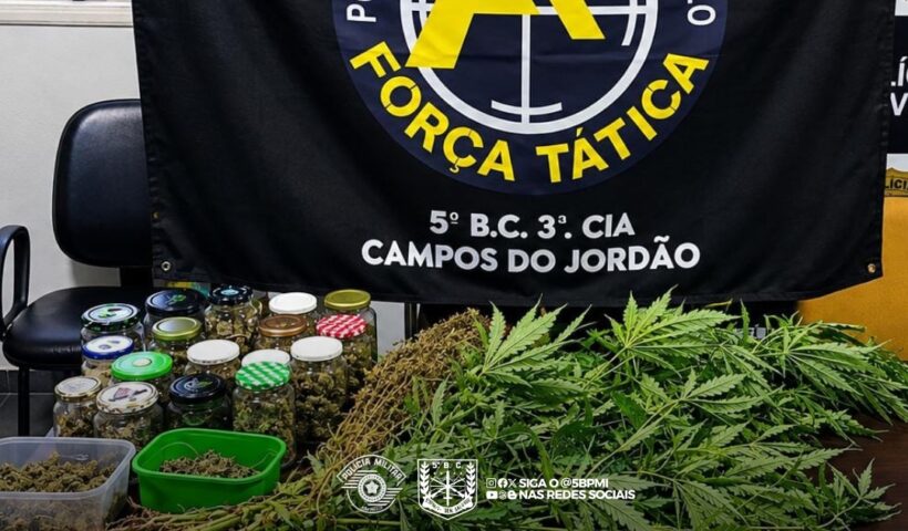 Polícia apreende 18 pés de maconha em residência em Campos do Jordão