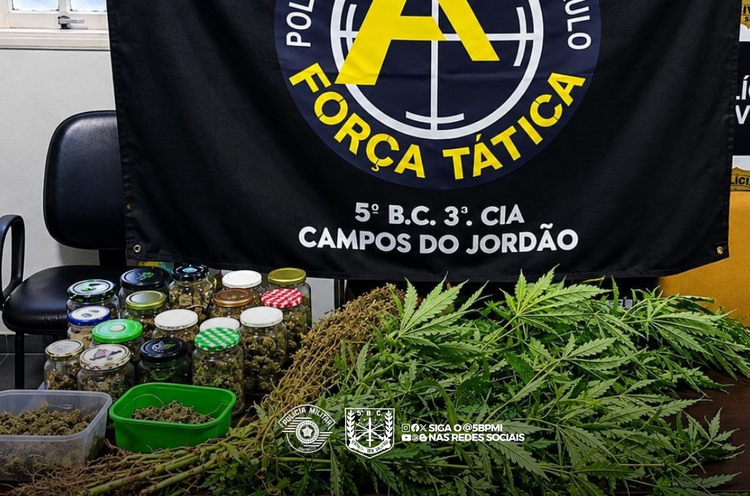 Polícia apreende 18 pés de maconha em residência em Campos do Jordão