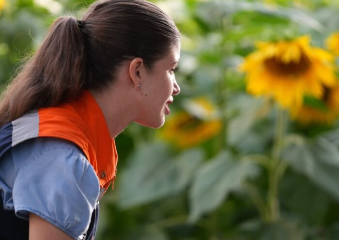 Primavera