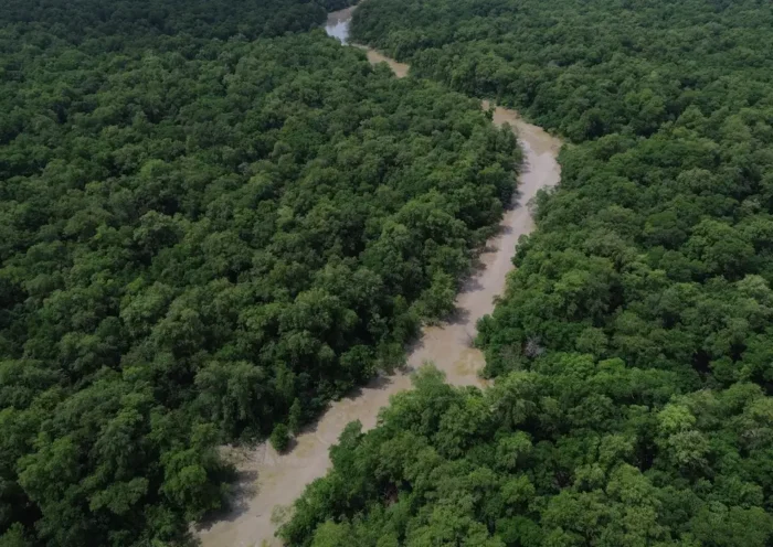 Desmatamento na Amazônia
