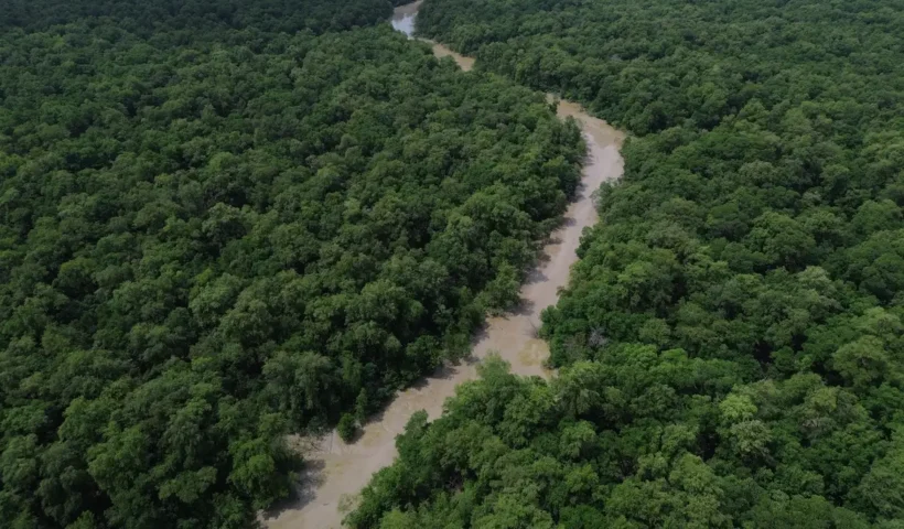 Desmatamento na Amazônia
