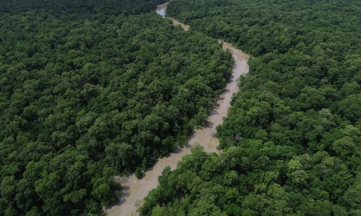 Desmatamento na Amazônia