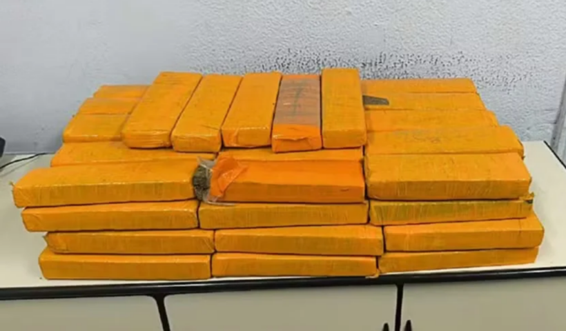 Polícia apreende 30 kg de maconha em freezer de adega no Jardim São Judas Tadeu, em São José dos Campos. Ninguém foi preso