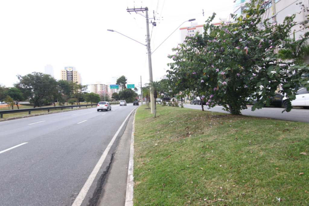 Corrida Track & Field Center Vale interdita avenidas de São José dos Campos neste domingo (1º). Confira os horários e os trechos bloqueados.