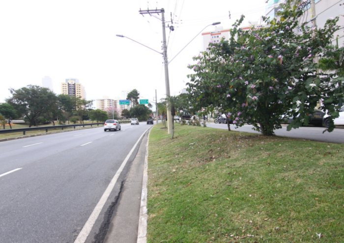 Corrida Track & Field Center Vale interdita avenidas de São José dos Campos neste domingo (1º). Confira os horários e os trechos bloqueados.